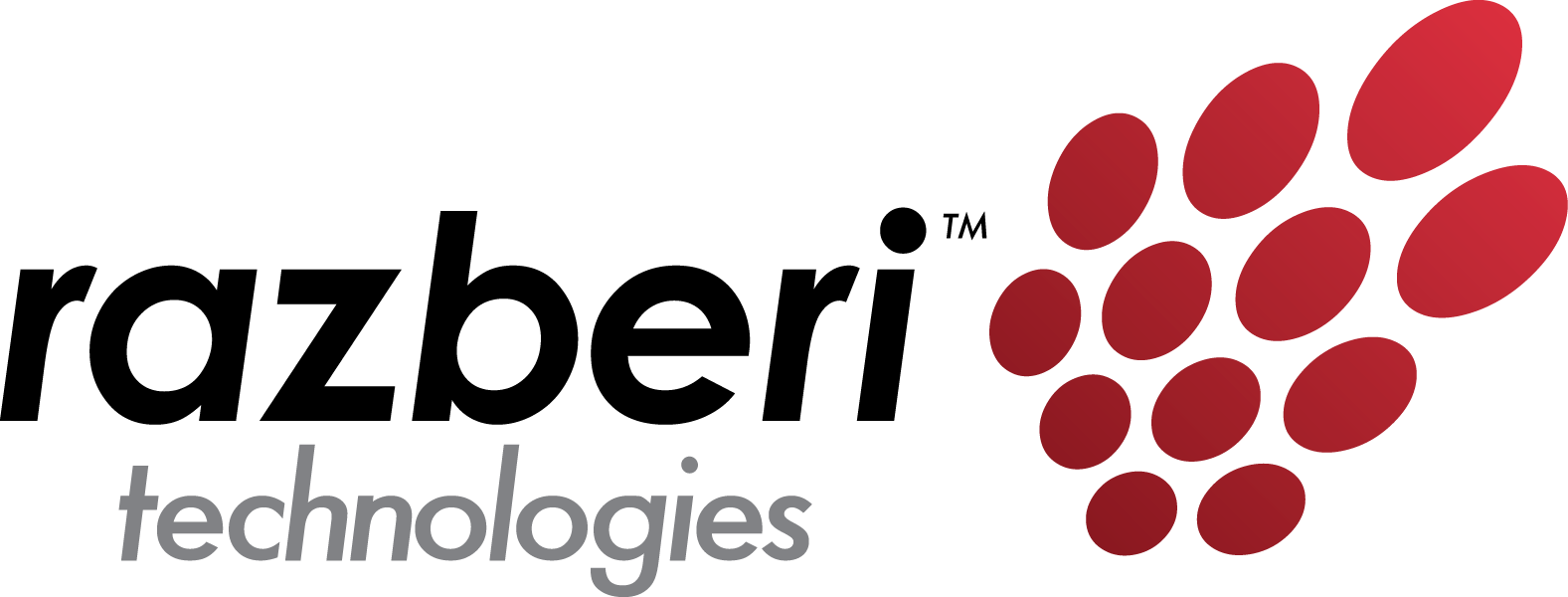 Razberi Technologies Company Logo