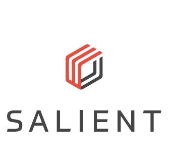 Salient Systems Company Logo