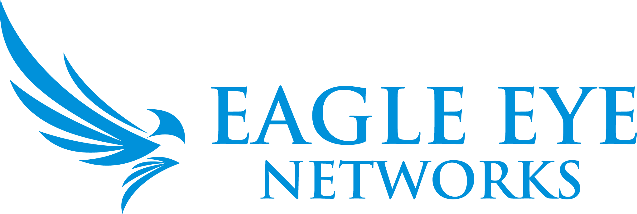 Eagle Eye Networks Company Logo