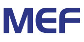 Metro Ethernet Standard Image